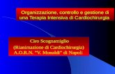 Organizzazione, controllo e gestione di una Terapia Intensiva di Cardiochirurgia Ciro Scognamiglio (Rianimazione di Cardiochirurgia) A.O.R.N. V. Monaldi.