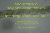 Laboratorio di scienze della natura I microrganismi acquatici Classe 1-2 ragioneria Anno Scolastico 2008-09 Prof. Aldo Marinelli.