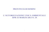 1 PROVINCIA DI RIMINI LAUTORIZZAZIONE UNICA AMBIENTALE DPR 13 MARZO 2013 N. 59.