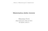 Matematica della visione Massimo Ferri ferri ferri@dm.unibo.it Master in Matematica per le Applicazioni.