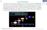 Elementi di Chimica e Biochimica Rita Roberti, Giovanni Alunni Bistocchi Copyright © 2007 – The McGraw-Hill Companies s.r.l. ELETTROFORESI Le proteine.