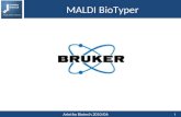 MALDI BioTyper 1 Arintha Biotech 2010/06. MALDI BioTyper 2 Arintha Biotech 2010/06 Identificazione batterica MALDI Biotyper Il sistema Bruker di nuova.