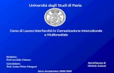 Università degli Studi di Pavia Corso di Laurea Interfacoltà in Comunicazione Interculturale e Multimediale Relatore: Prof.ssa Lidia Falomo Tesi di laurea.