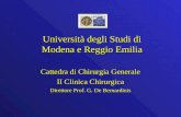 Cattedra di Chirurgia Generale II Clinica Chirurgica Direttore Prof. G. De Bernardinis Università degli Studi di Modena e Reggio Emilia.