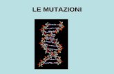 LE MUTAZIONI. Da che cosa sono causate le mutazioni? MUTAZIONI INDOTTE Il tasso di mutazione può essere enormemente aumentato dallesposizione ad agenti.