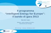 Il programma Intelligent Energy for Europe: il bando di gara 2013 Marcello Capra Ministero dello Sviluppo Economico Dipartimento per lEnergia IEE Info.