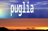 Si trova in Italia Posizione della Puglia La regione e situata nel meridione italiano; confina a nord e a est con il mar Adriatico, a sud con il mar.