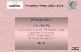 Microrete La lente Liceo Sc./Liceo Cl. G.Giolitti - G.B. Gandino Sc coord. IPCT "Velso Mucci" IC "Oderda-Perotti" BRA Progetto Vives 2001-2002.
