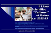 Il Liceo Scientifico Cattaneo di Torino a.s. 2012-13  .