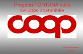Progetto FONTANA sullo sviluppo sostenibile Gallo Alessandro 1I Curiel.