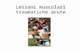 Lesioni muscolari traumatiche acute. Meccanismi patogenetici Traumi diretti Traumi indiretti.