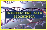 Biochimica-Introduzione.1 INTRODUZIONE ALLA BIOCHIMICA.