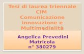 Tesi di laurea triennale CIM Comunicazione innovazione e Multimedialità Angelica Prevedini Matricola n° 380279 Angelica Prevedini Matricola n° 380279.