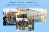 Il rischio alluvionale: strumenti di mitigazione e riduzione del danno atteso Prof. Scira Menoni.