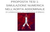 PROPOSTA TESI 1: SIMULAZIONE NUMERICA NELL'AORTA ADDOMINALE (in collaborazione con il Policlinico di Milano)