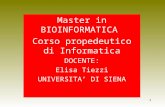 1 Master in BIOINFORMATICA Corso propedeutico di Informatica DOCENTE: Elisa Tiezzi UNIVERSITA DI SIENA.