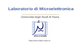 Università degli Studi di Pavia Laboratorio di Microelettronica .