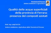 Qualità delle acque superficiali della provincia di Ferrara: presenza dei composti azotati Dott. Ing. Luigi Dal Cin Settore Ambiente e Agricoltura della.