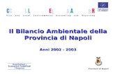 Provincia di Napoli Il Bilancio Ambientale della Provincia di Napoli Anni 2002 - 2003.