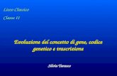 Evoluzione del concetto di gene, codice genetico e trascrizione Silvia Tarasco Silvia Tarasco Liceo Classico Classe II Liceo Classico Classe II.