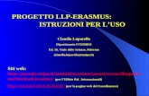 PROGETTO LLP-ERASMUS: ISTRUZIONI PER LUSO Claudio Luparello Dipartimento STEMBIO Ed. 16, Viale delle Scienze, Palermo (claudio.luparello@unipa.it) Siti.