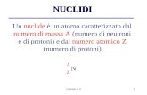 Lezione n. 41 Un nuclide è un atomo caratterizzato dal numero di massa A (numero di neutroni e di protoni) e dal numero atomico Z (numero di protoni) NUCLIDI.