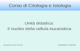 Corso di Citologia e Istologia Unit  didattica: Il nucleo della cellula eucariotica SILSIS-MI VIII CICLOFEDERICA FARINA