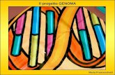 Il progetto GENOMA Marta Franceschetti. Classe: V a Liceo Psicopedagogico Momento del percorso formativo Mod.1 – Mendel e la Genetica Classica Mod.2 –
