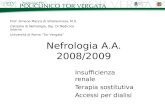 Nefrologia A.A. 2008/2009 Insufficienza renale Terapia sostitutiva Accessi per dialisi Prof. Simone Manca di Villahermosa, M.D. Cattedra di Nefrologia,