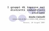 I gruppi di imprese nei distretti industriali italiani Giulio Cainelli Università di Bari e CERIS-CNR, Milano Novara, 28 Giugno 2007.