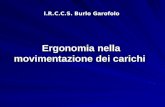 Ergonomia nella movimentazione dei carichi I.R.C.C.S. Burlo Garofolo.