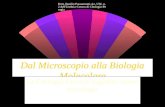Dott. Basilio Passamonti-Az. USL n.2 dell'Umbria-Centro di Citologia-Perugia Dal Microscopio alla Biologia Molecolare La Citologia Cervico-Vaginale: nuove