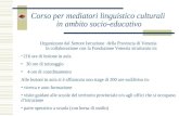 Corso per mediatori linguistico culturali in ambito socio-educativo Organizzato dal Settore Istruzione della Provincia di Venezia in collaborazione con.