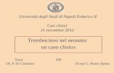 Trombocitosi nel neonato: un caso clinico TutorAIF Dr. P. Di Costanzo Dr.ssa G. Russo Spena Università degli Studi di Napoli Federico II Casi clinici 21.