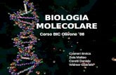 BIOLOGIA MOLECOLARE Crameri Enrica Zoia Matteo Coretti Daniele Widmer Gabriele Corso BIC Olivone ´08.