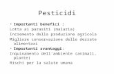 Pesticidi Importanti benefici : Lotta ai parasiti (malaria) Incremento della produzione agricola Migliore conservazione delle derrate alimentari Importanti.