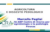 AGRICOLTURA E DISSESTO PEDOLOGICO Marcello Pagliai CRA-ABP Centro di ricerca per lagrobiologia e la pedologia Firenze 1.