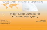 Index Land Surface for Efficient kNN Query Gruppo 2 Riccardo Mascia Roberto Saluto Relatore Roberto Saluto Cyrus Shahabi Lu-An TangSonghua Xing.