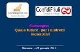 Manzano – 22 gennaio 2011 Convegno Quale futuro per i distretti industriali.