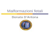 Malformazioni fetali Donato DAntona. Indagine morfologica precoce Via transaddominale Sonde a elevata risoluzione Via transvaginale Epoca gestazionale.