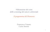 1 Valutazione dei costi dello screening del cancro colorettale Il programma del Piemonte Francesca Vanara Carlo Senore.