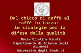 Dal chicco di caffè al caffè in tazza: le strategie per la difesa della qualità Maria Cristina Nicoli Dipartimento di Scienze degli Alimenti Università