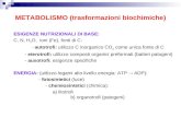 METABOLISMO (trasformazioni biochimiche) ESIGENZE NUTRIZIONALI DI BASE: C, N, H 2 O, ioni (Fe), fonti di C: - autotrofi: utilizzo C inorganico CO 2 come.