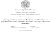 Università degli Studi di Macerata ______________________________________________________ Facoltà di Scienze della Formazione Corso di Laurea in Scienze.