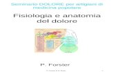 P. Forster & B. Buser1 Seminario DOLORE per artigiani di medicina popolare Fisiologia e anatomia del dolore P. Forster.