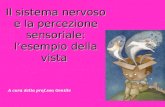 Il sistema nervoso e la percezione sensoriale: lesempio della vista A cura della prof.ssa Gentile.