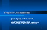 1 Progetto Orientamento Anna M. Timperio, Raffaele Caldarelli, Francesco Rossini (Università della Tuscia, Viterbo) Alfredo Argenti, Carmelo Stridi, Fabio.