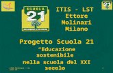 ITIS Molinari - Scuola 21Novembre 20091 ITIS - LST Ettore Molinari Milano Progetto Scuola 21 Educazione sostenibile nella scuola del XXI secolo Novembre.