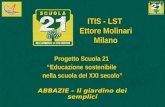 ITIS - LST Ettore Molinari Milano Progetto Scuola 21 Educazione sostenibile nella scuola del XXI secolo ABBAZIE – Il giardino dei semplici.