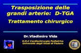 Trasposizione delle grandi arterie: D-TGA Trattamento chirurgico U.O.C Cardiochirurgia Pediatrica Università degli Studi di Padova Dr.Vladimiro Vida.